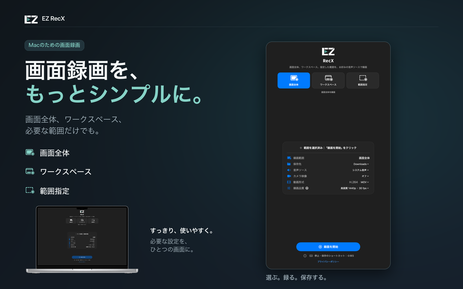 EZ RecX:画面全体、ワークスペース、範囲指定